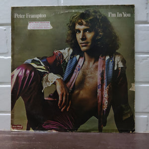 I'm In You by Peter Frampton
